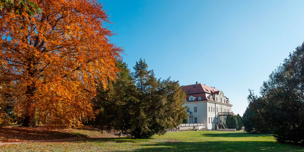 Villa Wollner Dresden